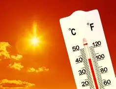热传:孙颖莎谁能执教11冠王的简单介绍|